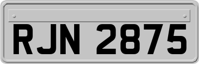 RJN2875