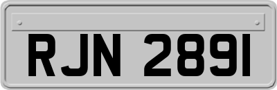 RJN2891