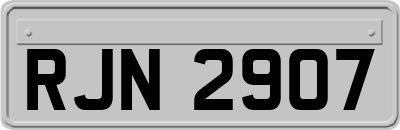 RJN2907