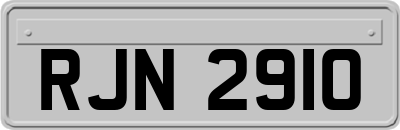 RJN2910