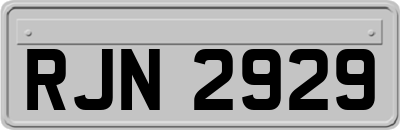 RJN2929