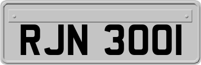 RJN3001