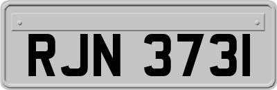 RJN3731