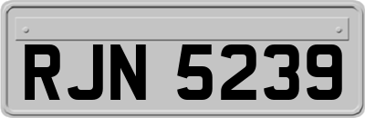 RJN5239