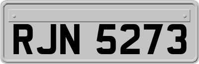 RJN5273