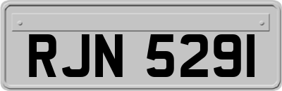 RJN5291