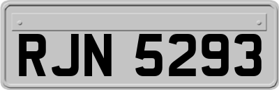 RJN5293