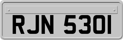 RJN5301