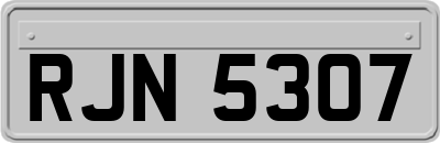 RJN5307