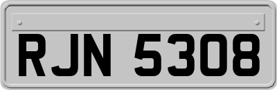 RJN5308