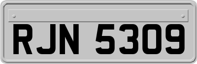 RJN5309