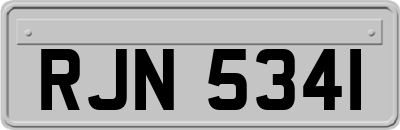 RJN5341