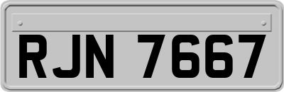 RJN7667