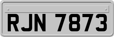 RJN7873