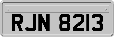 RJN8213