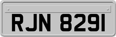 RJN8291