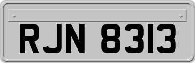 RJN8313