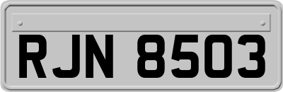 RJN8503