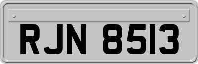 RJN8513