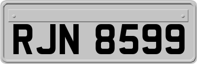 RJN8599