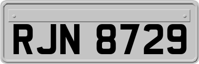 RJN8729