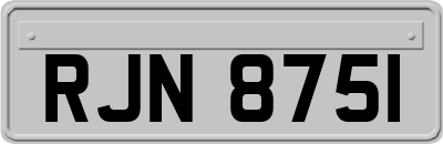 RJN8751