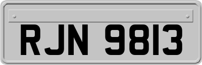 RJN9813