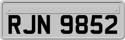 RJN9852