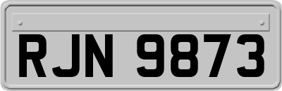 RJN9873