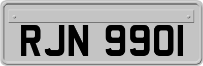 RJN9901