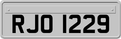 RJO1229