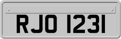 RJO1231