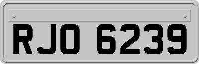 RJO6239