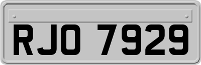 RJO7929