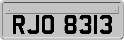 RJO8313