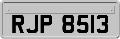 RJP8513