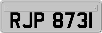 RJP8731