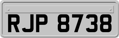 RJP8738