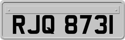 RJQ8731