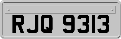 RJQ9313