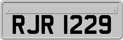 RJR1229