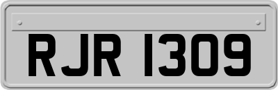 RJR1309