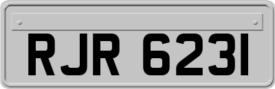 RJR6231