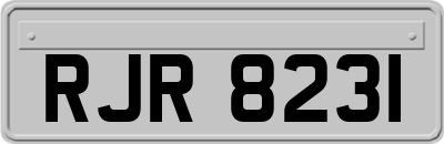 RJR8231