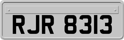 RJR8313