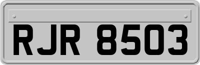 RJR8503