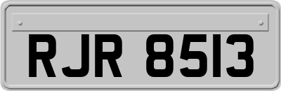 RJR8513