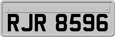 RJR8596