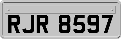 RJR8597