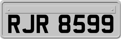 RJR8599